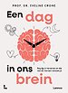 Een dag in ons brein