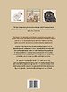 Biografie van de steenuil
