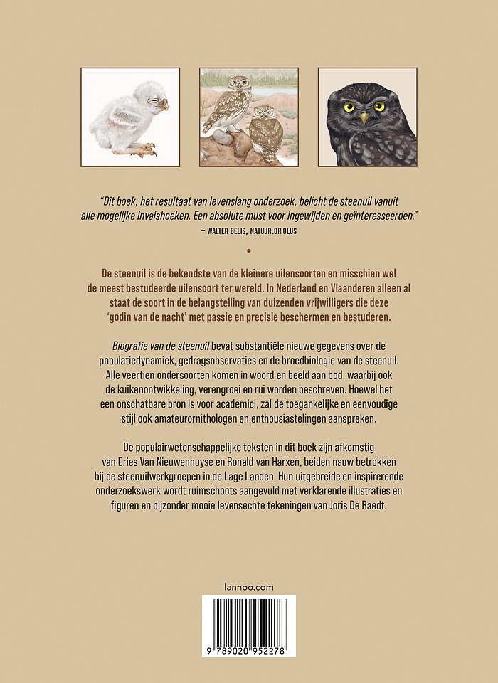 Biografie van de steenuil