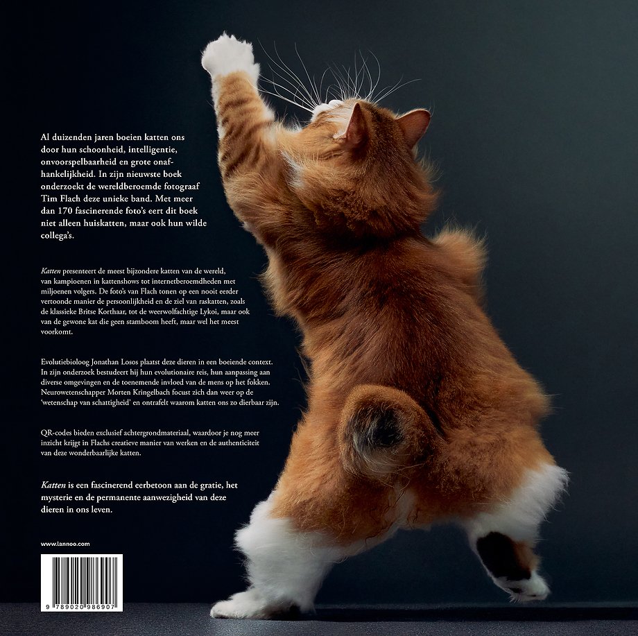 Katten