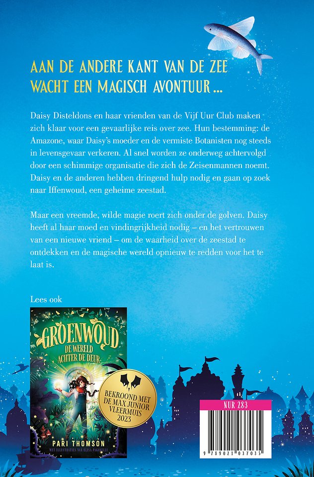 De stad voorbij de zee