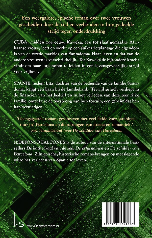 De vrouwen van de suikerrietplantage