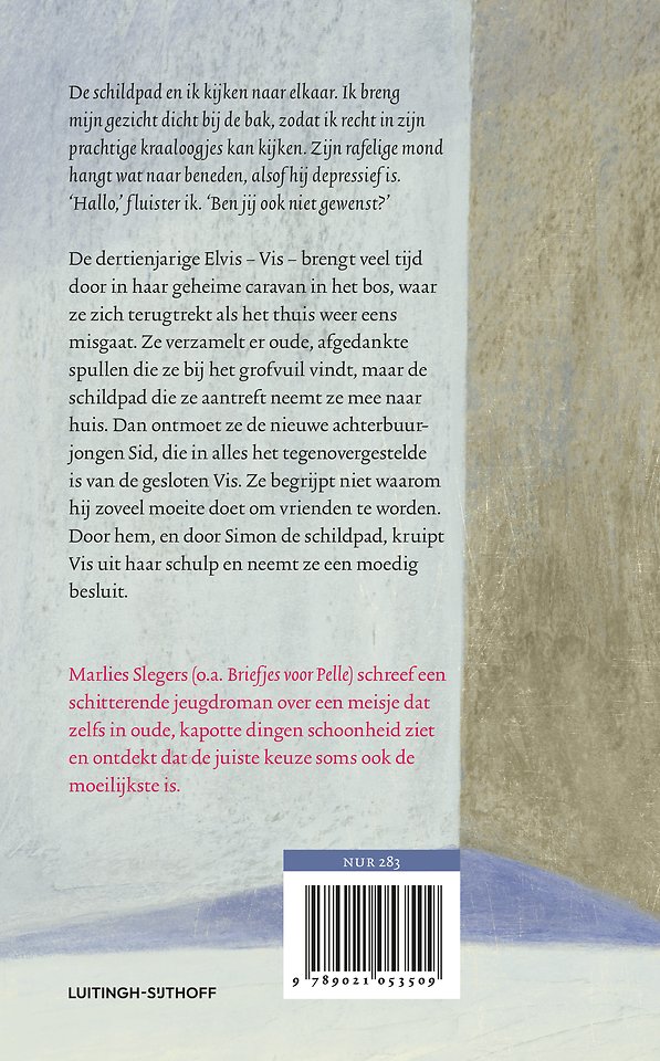Schildpadmeisje
