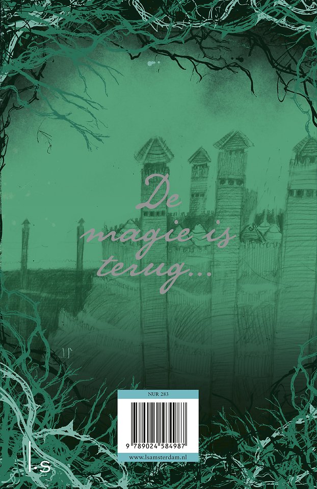 De Tovenaars van Ooit 2 - De heksenval