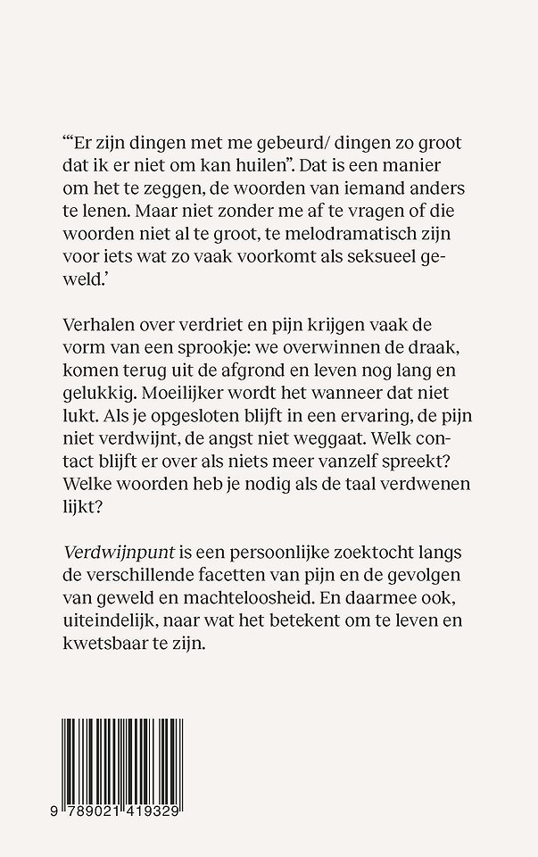 Verdwijnpunt