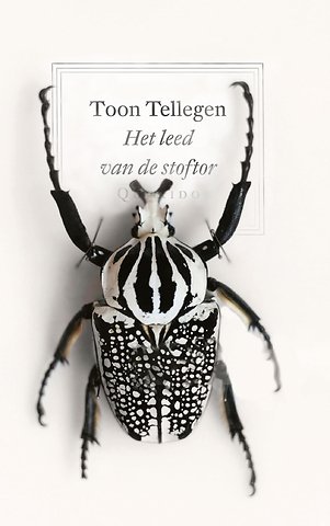 Het leed van de stoftor