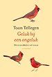 Geluk bij een ongeluk Geluk bij een ongeluk
