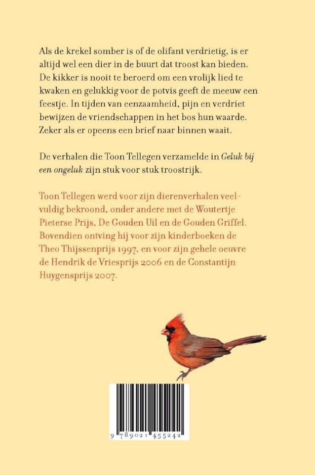 Geluk bij een ongeluk