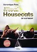 The Real Housecats of Antwerp