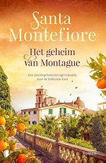Het geheim van Montague