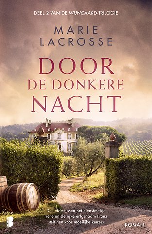 Door de donkere nacht
