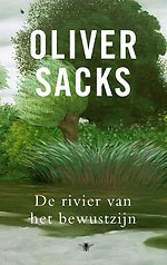 De rivier van het bewustzijn