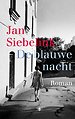 De blauwe nacht