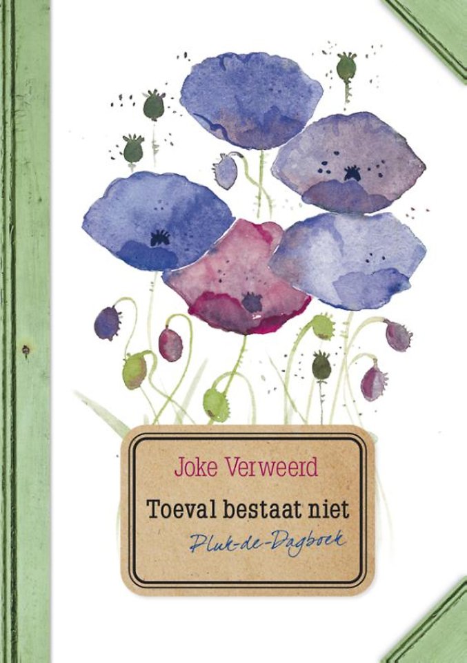 Toeval bestaat niet door Joke Verweerd Managementboek.nl