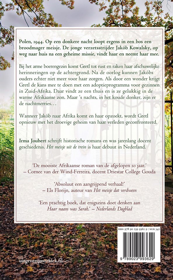 Het meisje uit de trein