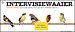 Intervisiewaaier - Voor intervisiegroepen en intervisiecoaches Intervisiewaaier - Voor intervisiegroepen en intervisiecoaches