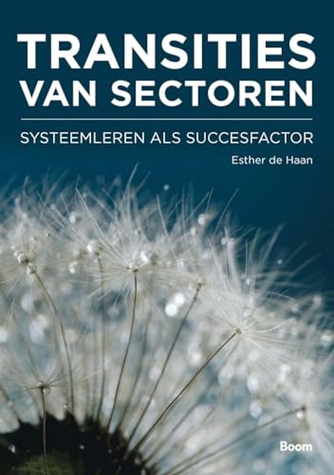 Transities van sectoren