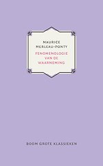 Fenomenologie van de waarneming
