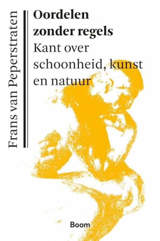 Oordelen zonder regels