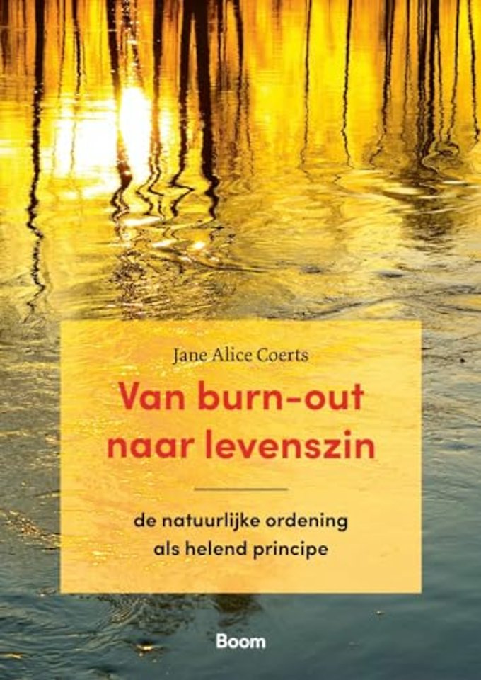 Van burn-out naar levenszin