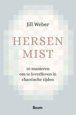 Hersenmist
