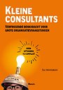 Kleine consultants Kleine consultants