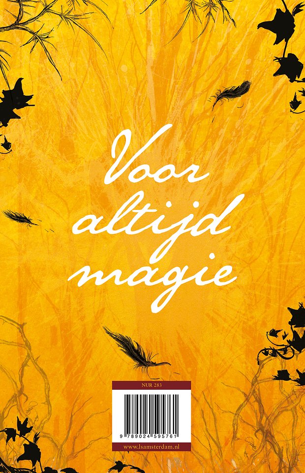 De Tovenaars van Ooit 4 - Nooit en voor altijd