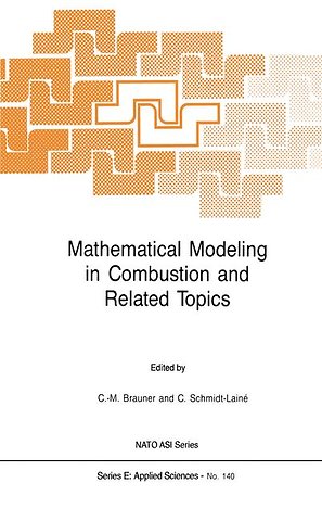 Mathematical Modeling in Combustion and Related Topics