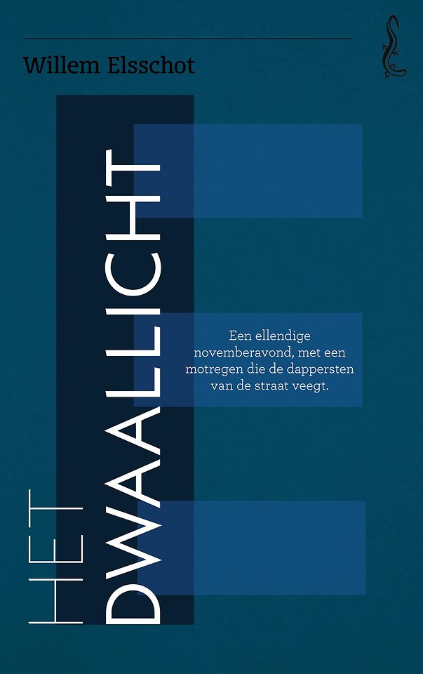 Het dwaallicht