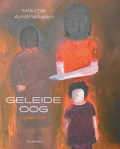 Geleideoog