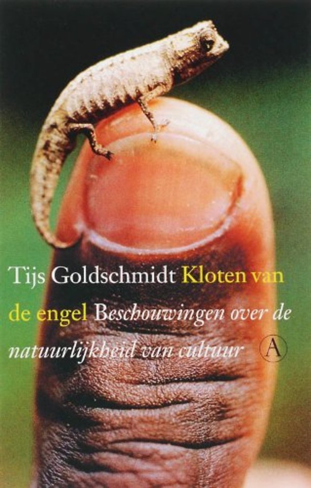 Kloten van de engel