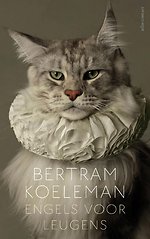 Engels voor leugens