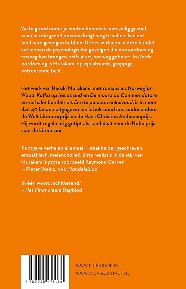 Na de aardbeving