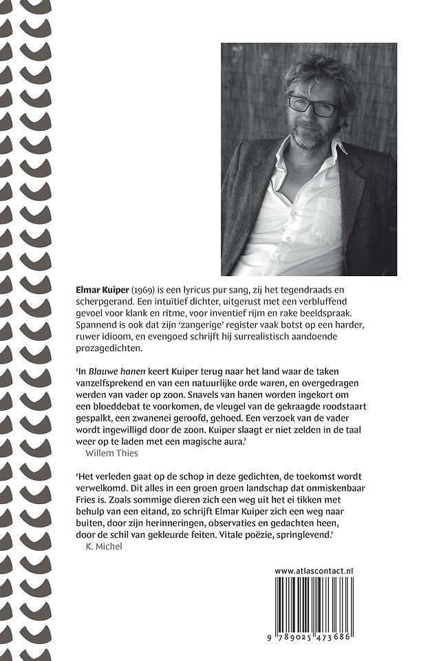 Blauwe Hanen
