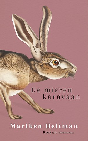 De mierenkaravaan