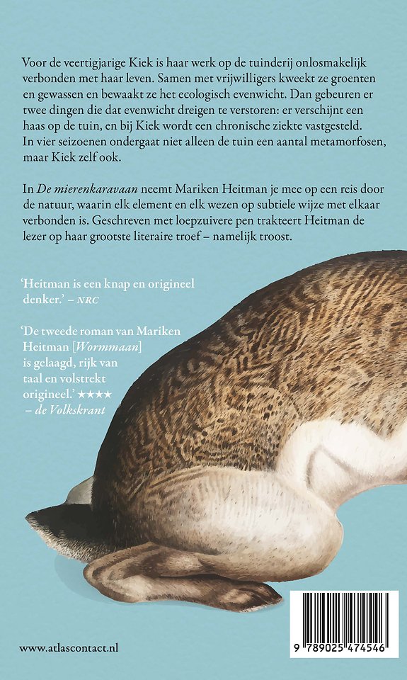 De mierenkaravaan