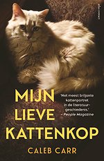 Mijn lieve kattenkop