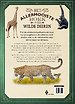 Het allermooiste boek over wilde dieren