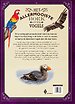 Het allermooiste boek over vogels