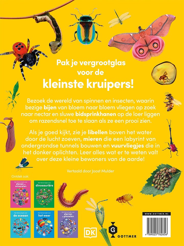 Het kleine boek over spinnen en insecten