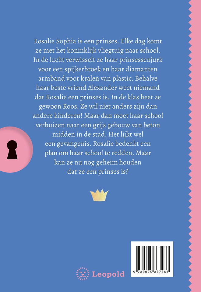 Het geheim van de stoere prinses
