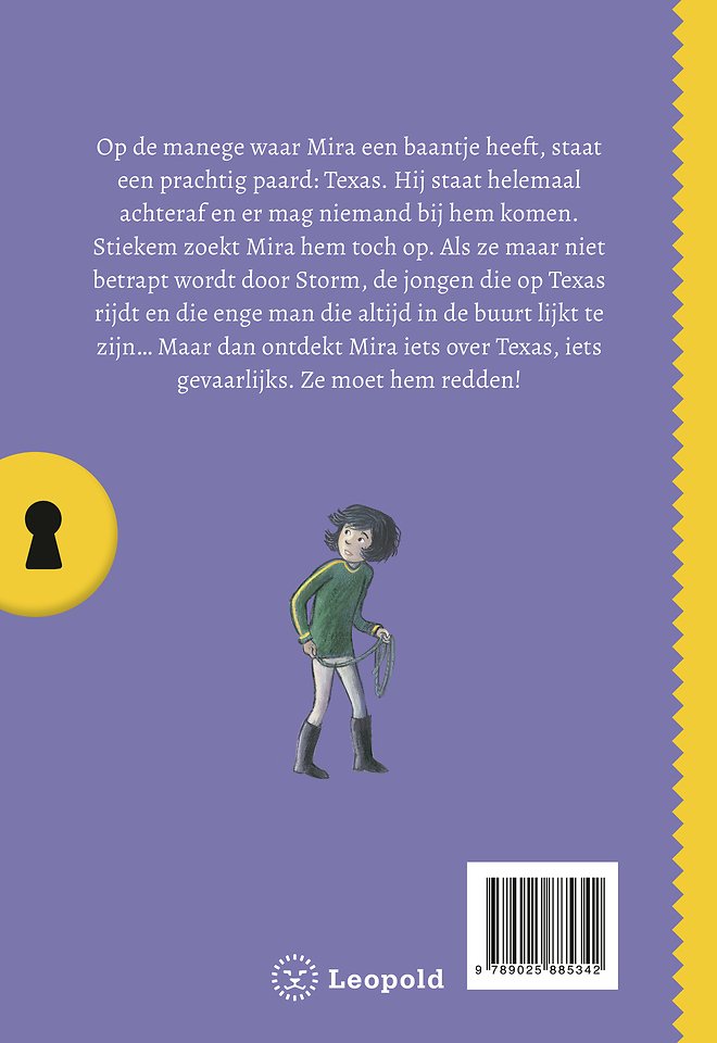 Het geheim van het verdwenen paard