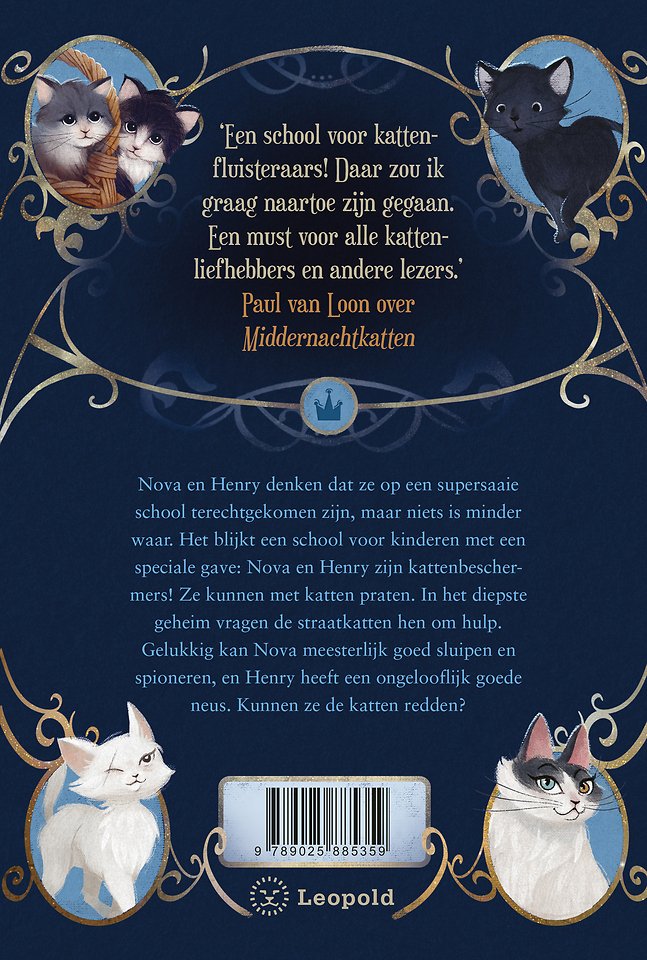 De strijd van de straatkatten