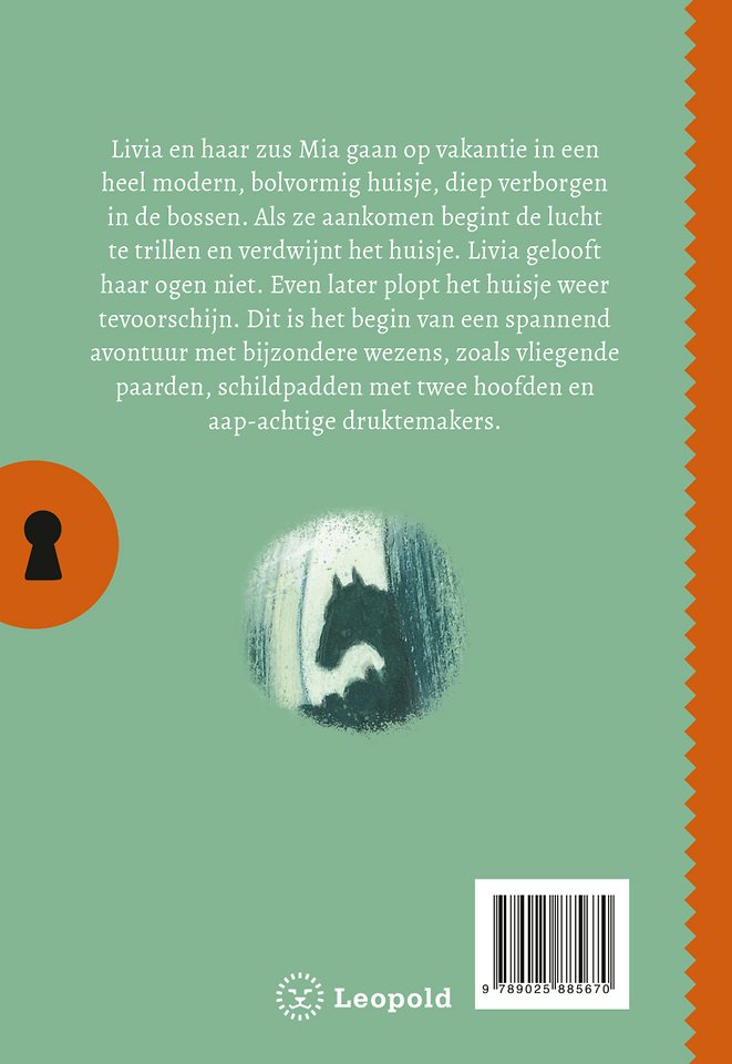 Het geheim van het verdwenen huis