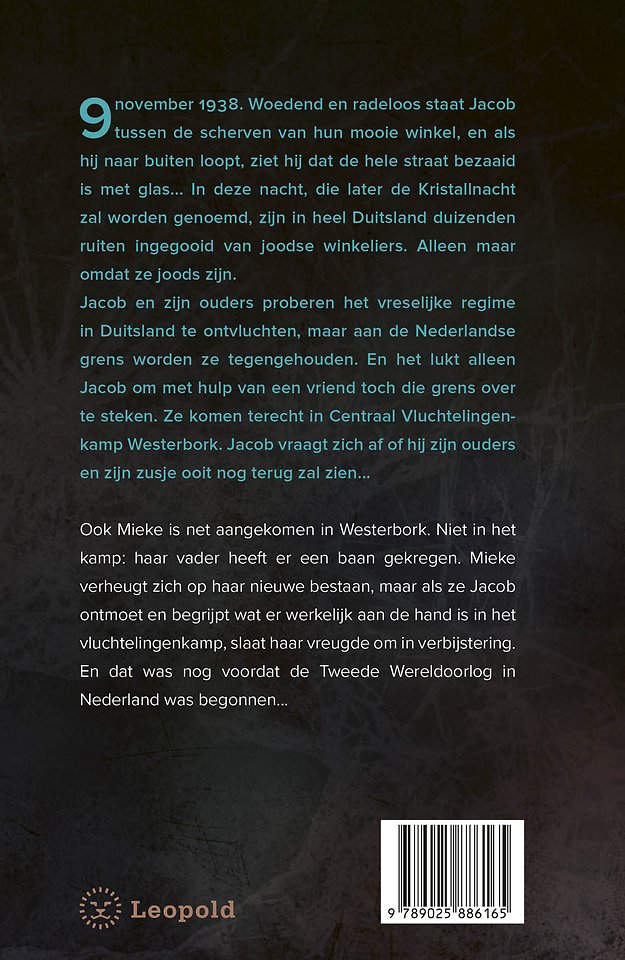 Scherven in de nacht