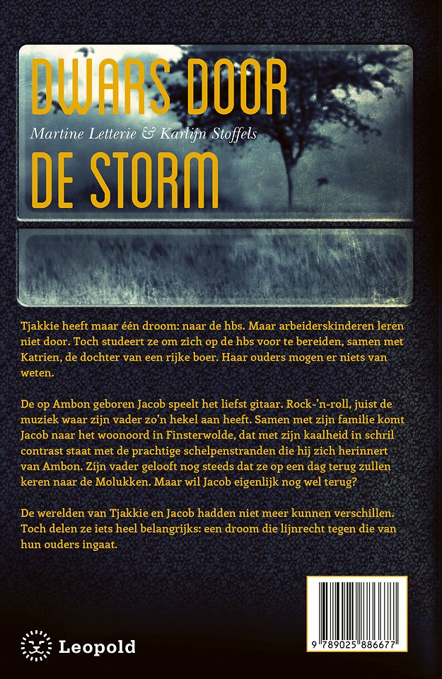 Dwars door de storm