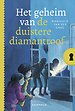 Het geheim van de duistere diamantroof