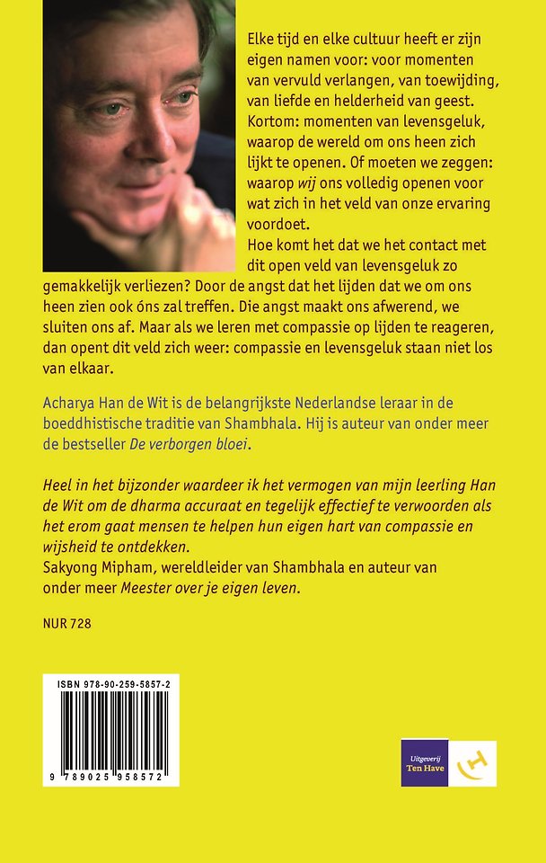 Het open veld van de ervaring