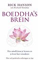 Boeddha`s brein