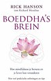 Boeddha's brein